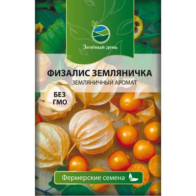 Физалис на даче - \"вишенка на торте\". Какая польза и есть ли вред | В  гостях у Счастливой Лягушки | Дзен