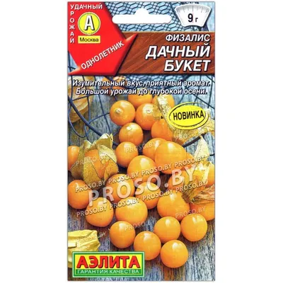 Ягода физалис (89 фото) - 89 фото