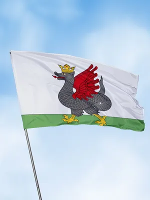 Флаг Казани - купить Флаг по выгодной цене в интернет-магазине OZON  (688615601)