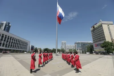 Герб Краснодара Векторная Иллюстрация Векторное изображение  ©grebeshkovmaxim@gmail.com 223034554