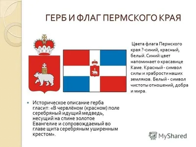 В Перми развернут огромный флаг России ко Дню народного единства |  03.11.2023 | Пермь - БезФормата