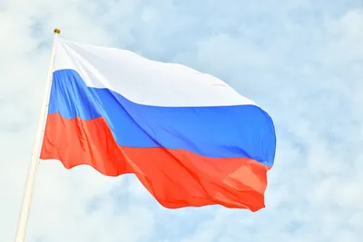 В Сочи развернули 26-метровый флаг ДНР - KP.RU