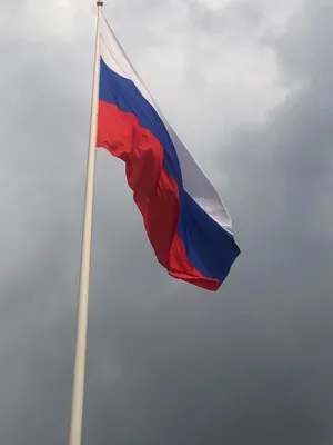 На пляжах Сочи продолжают висеть «Синие флаги» упраздненного Ростуризма -  Новости Сочи