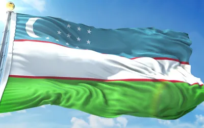 Uzbekistan Flag Royalty Free Stock SVG Vector and Clip Art