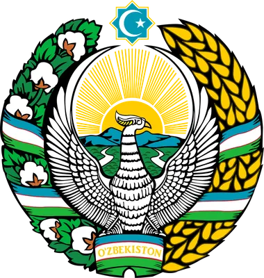 File:Flag of Uzbekistan (Constitution.uz).svg - Wikimedia Commons