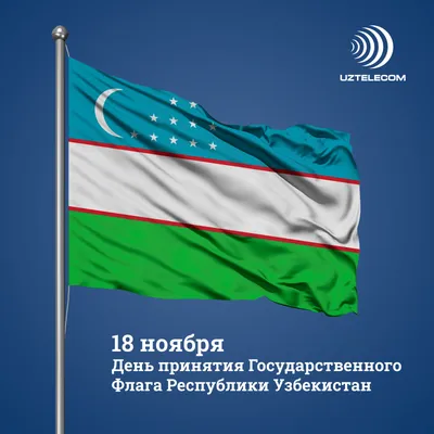 Настольный флаг Узбекистана, с пластмассовой подставкой, с золотой пикой  купить по низким ценам в интернет-магазине Uzum (753196)