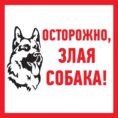 Флюс и абсцесс: причины, диагностика, методика лечения – стоматология  Президент