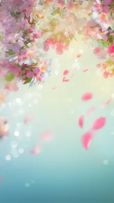 весна-цветы-обои-розовый-цветущий-цветы-телефон-обои-синий-фон | Spring  wallpaper, Flower phone wallpaper, Spring flowers background