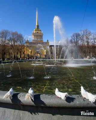 Летний маршрут с лучшими фонтанами Санкт-Петербурга