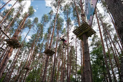 Форест Парк» обретает славу спортивной Мекки Черноземья - KP.RU