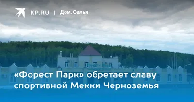 Ирина Логинова, Липецк, 33 года — Учредитель в Полохов Александр  Алексеевич, отзывы