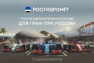 ФОРМУЛА-1» ВОЗВРАЩАЕТСЯ В СОЧИ | Sobaka.ru