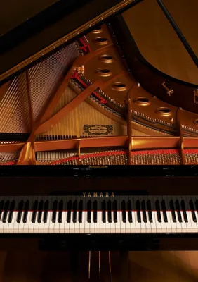 Pianos - Musical Instruments - Products - Yamaha - Canada - English