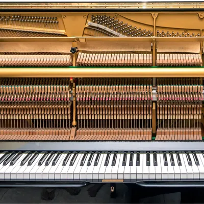 The Piano: The Pianofortes of Bartolomeo Cristofori (1655–1731) | Essay |  The Metropolitan Museum of Art | Heilbrunn Timeline of Art History