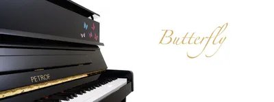 How to Play Piano - Ultimate Beginner's Guide | Pianote