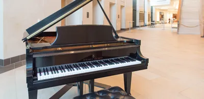 Exploring the History of the Piano - Musical Instrument Museum