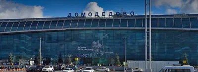 Ибис Москва Аэропорт Домодедово, Домодедово - обновленные цены 2024 года