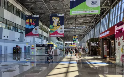 На очередной глобальный план развития аэропорта Владивосток хотят потратить  65 млн рублей