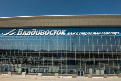 Более пятисот рейсов: аэропорт Владивостока подвел итоги работы в дни ВЭФ |  ОБЩЕСТВО | АиФ Владивосток