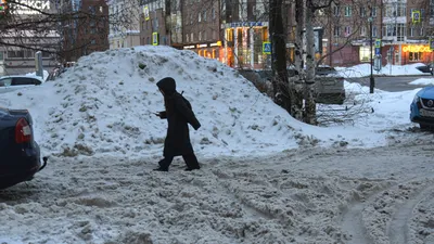 Снег: последние новости на сегодня, самые свежие сведения | 29.ру - новости  Архангельска