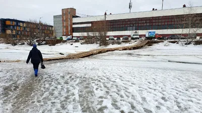Доброе утро, Архангельск! 🌞 Сегодня ожидается -22..-24 °C , без осадков,  легкий ветер 🌥 | ВКонтакте