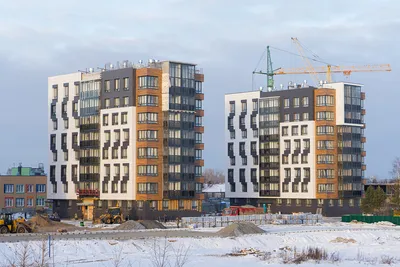 Архангельск: город доски, трески и тоски – осталось последнее | Не сидится  | Дзен