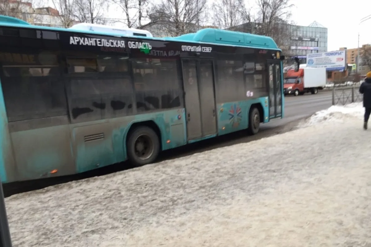 Архангельск, регион29 в 2024 г | Холодная погода, Брейен, Маки Архангельск, регион29 в 2024 г | Холодная погода, Брейен, Маки