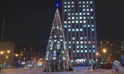 Главная ёлка Архангельска сегодня зажжёт свои огни