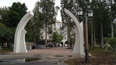 В Архангельске появились новые автобусы и перевозчик | ОБЩЕСТВО | АиФ  Архангельск