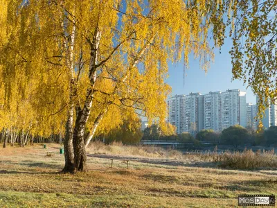 новый жилой район в весенний солнечный день. балашиха московская область  россия Редакционное Стоковое Фото - изображение насчитывающей пакостно,  ландшафт: 223410413