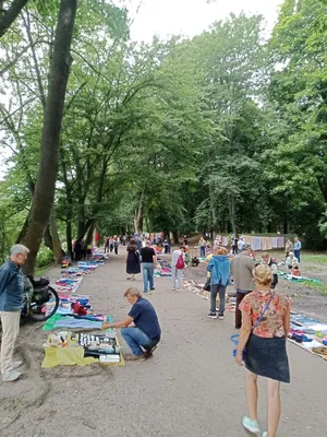 В Калининграде начали восстанавливать «японскую» виллу рядом с озером  Поплавок