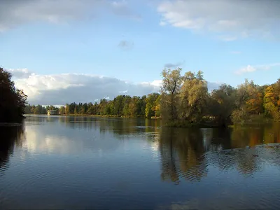 Родник село Белое озеро Улпресса - все новости Ульяновска