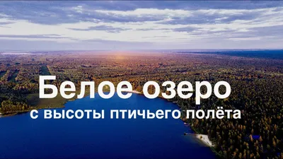 Доктор73 - Лечебные учреждения - ГУЗ ДЕТСКИЙ ПРОТИВОТУБЕРКУЛЁЗНЫЙ САНАТОРИЙ  «БЕЛОЕ ОЗЕРО» - Об учреждении