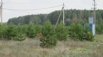 Ночной десант. Вешкайма - Белое Озеро (Ульяновская область, Майнский  район). 26 августа 2017г. | Пикабу