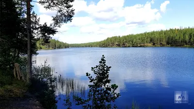 Озеро Белое | Планета Беларусь