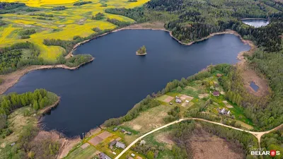 Белое Озеро, Ульяновская область, Николаевский район. Фотоотчет и отзыв об  отдыхе.