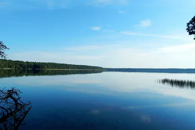 Озеро Белое - памятник природы в Красноярском районе Самарской области. Его  по праву называют местной жемчужиной! | 25.06.2022 | Красноармейское -  БезФормата