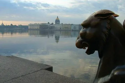 Белые ночи в Санкт-Петербурге, фотографии. Когда лучше ехать в Питер? –  PtMap.ru