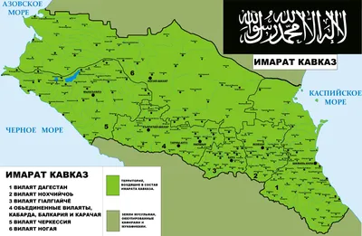 Росгвардия: С начала года на Северном Кавказе ликвидированы 20 боевиков -  Российская газета