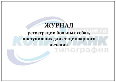 В Геленджике ввели карантин из-за собак, больных лептоспирозом | ИА Красная  Весна