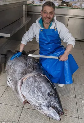 Сачок для рыб Fish net, большой, телескопический - Купить онлайн по  выгодной цене - Код товара 83726