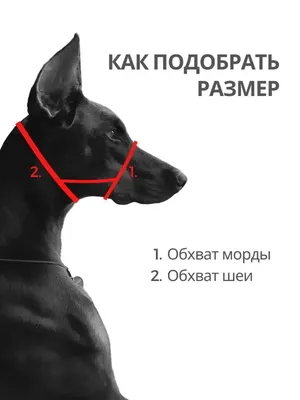 Французский Пао, большой белый медведь, собака, Пиренейская горная собака,  имитация домашних животных, собака, экшн-фигурка, модели животных,  коллекционные игрушки | AliExpress