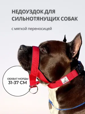 Rafa Petshop Недоуздок для большой собаки