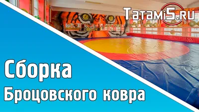 Покрышка для борцовского ковра, однотонный 6х6м (id 19603460), купить в  Казахстане, цена на Satu.kz