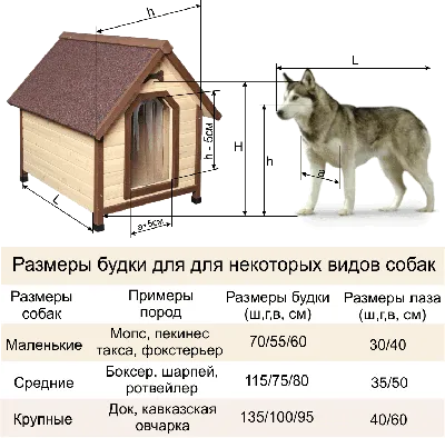 Будка для собаки своими руками - пошаговая инструкция с фото и описанием |  Идеи от садовника | Дзен