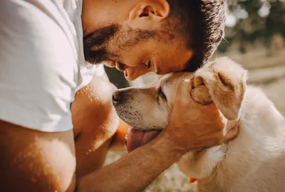 Собакотерапия - как собаки влияют на жизнь и здоровье человека 🐕