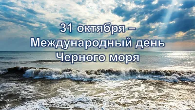 Вся правда о Черном море : В Сочи с глубин Черного моря выбросило огромного  мутанта, местные жители не могут прийти в себя