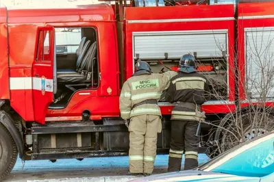 Мишустин поручил подготовить предложения по созданию города-спутника  Владивостока - PrimaMedia.ru