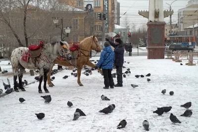 Снег в Чите | РИА Новости Медиабанк