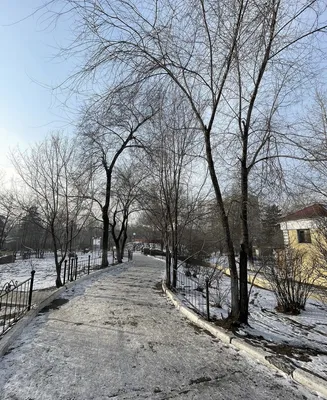 Ледовый городок торжественно открыли в Чите